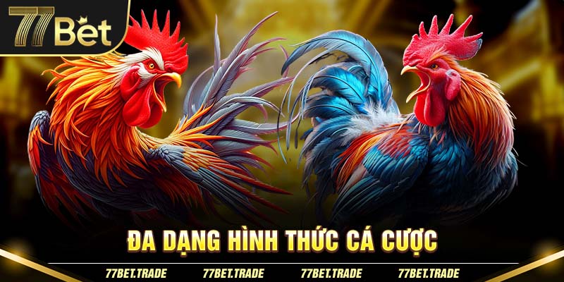 da-dang-hinh-thuc-ca-cuoc-tai-da-ga-truc-tuyen-77bet