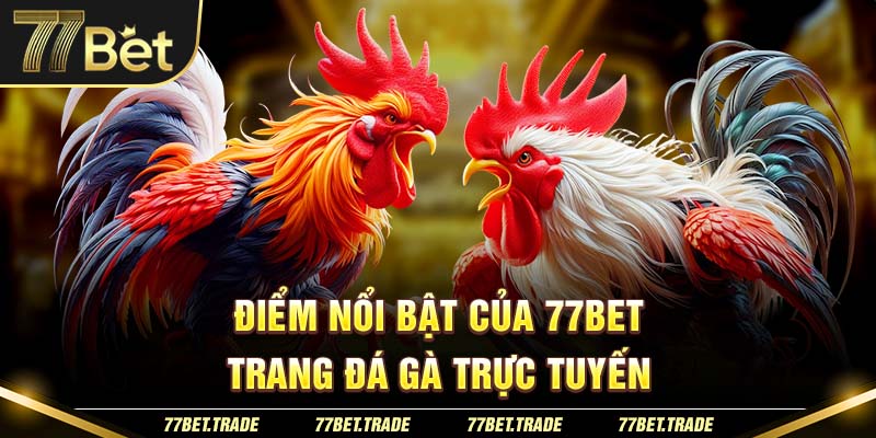 diem-noi-bat-cua-77bet-trang-da-ga-truc-tuyen